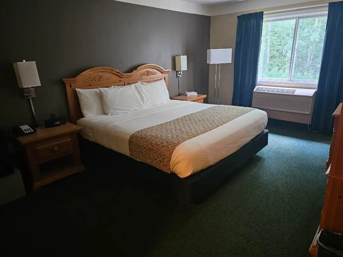 A guest room with a king bed and a large window looking into the pines
